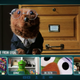 Illustration for article titled The Muppets share teaser—sorry, “video conference”—for new Disney+ show